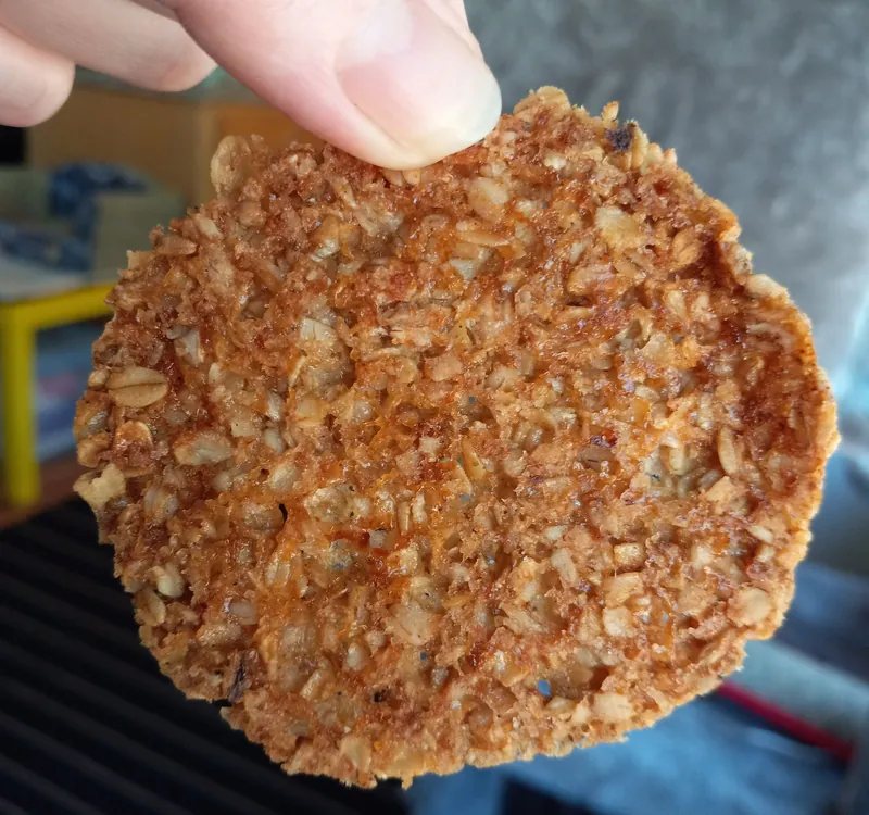 a thin, lacy oat cookie held up to the camera