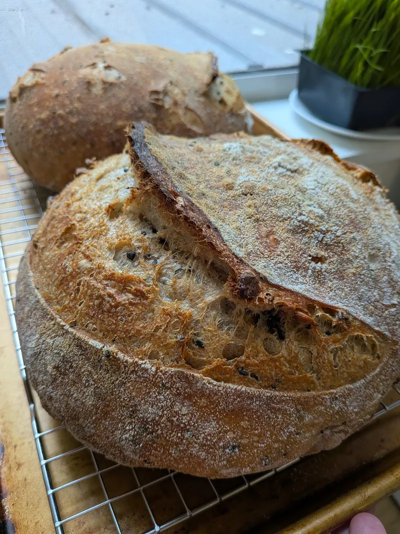two loaves of seeded spelt sourdough with pistachios on a cooling rack