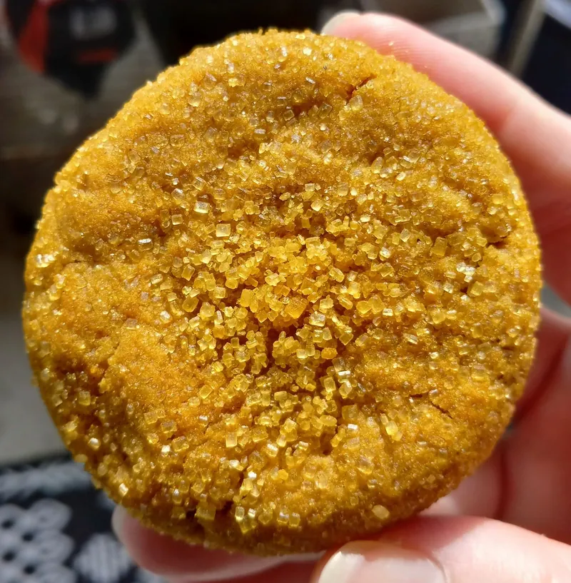 a golden cookie rolled in coarse sugar, held up to the camera